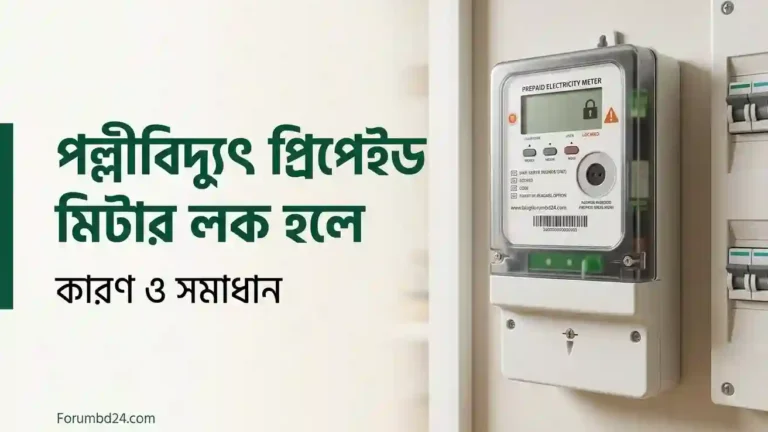পল্লীবিদ্যুৎ প্রিপেইড মিটার লক
